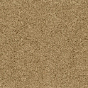 Mocheta rola DESSO Asteranne - Asteranne A411 2045