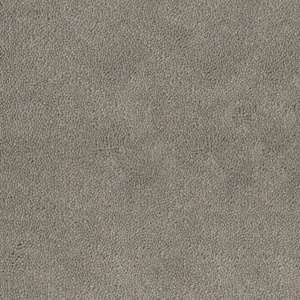 Mocheta rola DESSO Asteranne - Asteranne A411 9536