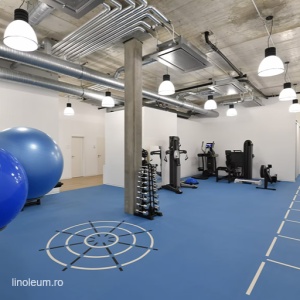 Pardoseala sportiva PaviFLEX Fitness Pro - Img 2