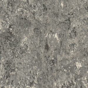 Linoleum Tarkett Veneto xf2 Bfl - Veneto PEBBLE 604
