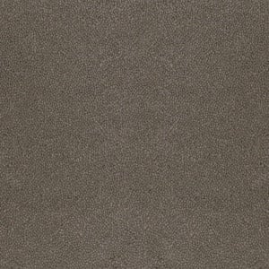 Mocheta rola DESSO Asteranne - Asteranne A411 9003