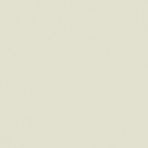 Tapet PVC Tarkett PROTECTWALL 2CR (CLEAN ROOMS) - Uni LIGHT BEIGE