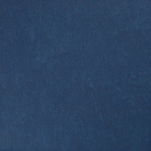 Linoleum Tarkett STYLE EMME xf²™ (2.5 mm) - Style Emme BLUE 220