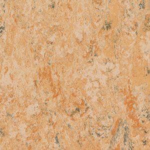 Linoleum Tarkett Veneto xf2 Bfl - Veneto CAMEL 616
