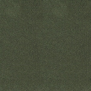 Mocheta rola DESSO Asteranne - Asteranne A411 7922