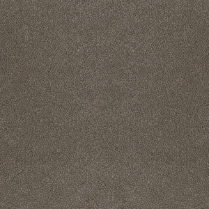 Mocheta rola DESSO Asteranne - Asteranne A411 9003