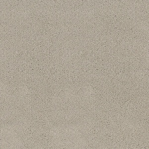 Mocheta rola DESSO Asteranne - Asteranne A411 9538