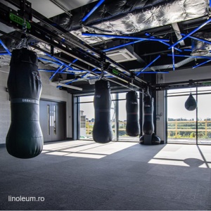 Pardoseală sportivă PaviFLEX Fitness Eco - Img 6