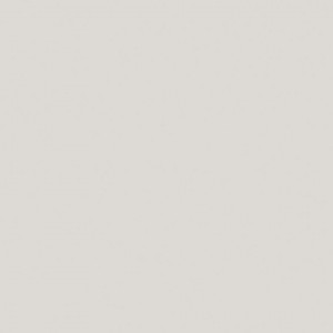 Tapet PVC Tarkett PROTECTWALL 2CR (CLEAN ROOMS) - Uni LIGHT GREY