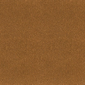 Mocheta rola DESSO Asteranne - Asteranne A411 2058