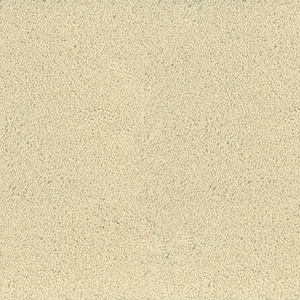 Mocheta rola DESSO Asteranne - Asteranne A411 2918