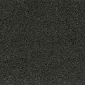 Mocheta rola DESSO Asteranne - Asteranne A411 9012
