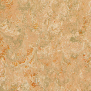 Linoleum Tarkett Veneto xf²™ (2.5 mm) - Veneto CITRINE 631