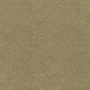 Mocheta rola DESSO Asteranne - Asteranne A411 2015