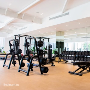 Pardoseala sport PaviFLEX Fitness Xtreme - Img 3