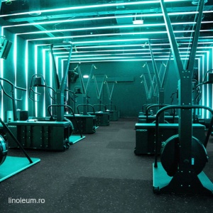 Pardoseală sportivă PaviFLEX Fitness Eco - Img 10