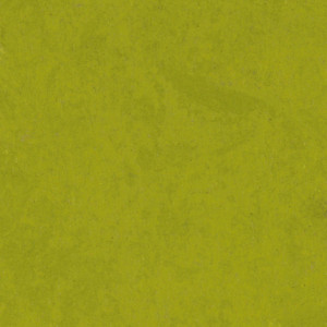 Linoleum Tarkett STYLE EMME xf²™ (2.5 mm) - Style Emme VERDE 215