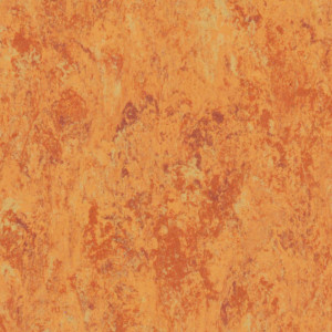 Linoleum Tarkett Veneto xf2 Bfl - Veneto AMBER 636