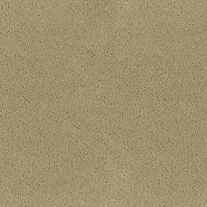 Mocheta rola DESSO Asteranne - Asteranne A411 2927