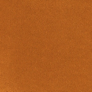 Mocheta rola DESSO Asteranne - Asteranne A411 5101