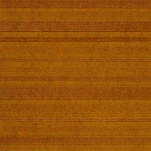 Mocheta dale Burmatex Lateral - 1887 Gold Quest