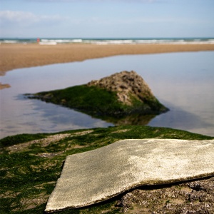 Mocheta rezidentiala B.I.C. Carpets Luxury woven Harbor 4430 marram grass