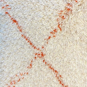 Mocheta rezidentiala din lana B.I.C. Carpets Handtuft Flow Base colors FW 301 - 302 - 609 Line color FW 908