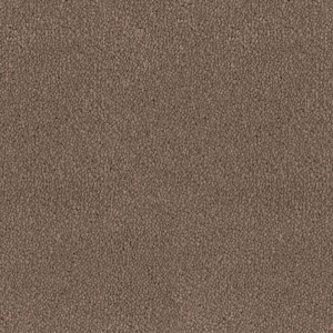 Mocheta rola DESSO Asteranne - Asteranne A411 2092