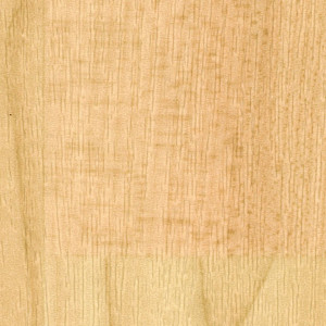 Covor PVC Altro Wood Honey Beech