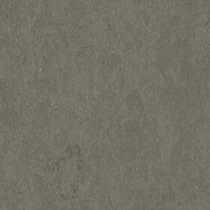 Linoleum Tarkett STYLE EMME xf²™ (2.5 mm) - Style Emme FERRO 205