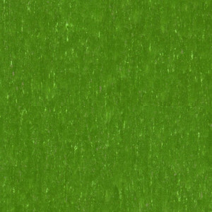 Linoleum Tarkett Trentino xf²™ (2,5 mm) - Trentino MOSS 552