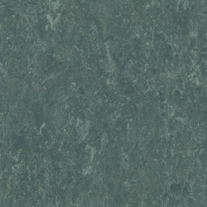 Linoleum Tarkett Veneto xf²™ (2.5 mm) - Veneto NIGHT OWL 917
