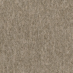 Mocheta dale DESSO Essence - Essence AA90 2915