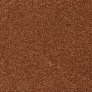 Mocheta rola DESSO Asteranne - Asteranne A411 2098