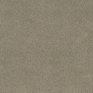 Mocheta rola DESSO Asteranne - Asteranne A411 9086