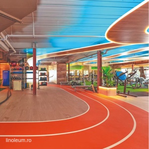 Pardoseala sportiva PaviFLEX Fitness Pro