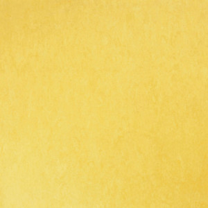 Linoleum Tarkett STYLE EMME xf²™ (2.5 mm) - Style Emme GIALLO 219