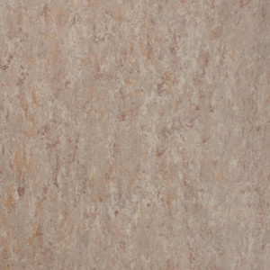 Linoleum Tarkett Veneto xf²™ (2.0 mm) - Veneto FOSSIL 502