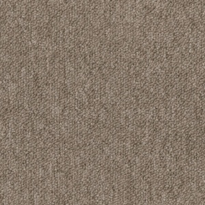 Mocheta dale DESSO Essence - Essence AA90 2923