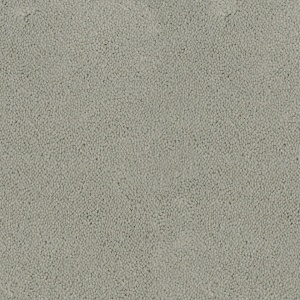 Mocheta rola DESSO Asteranne - Asteranne A411 1101