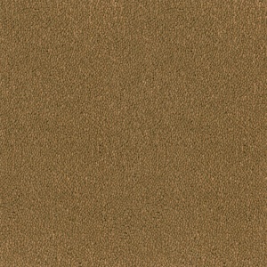 Mocheta rola DESSO Asteranne - Asteranne A411 2044