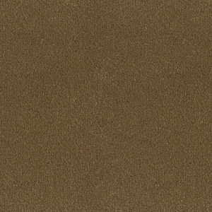 Mocheta rola DESSO Asteranne - Asteranne A411 2934