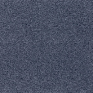 Mocheta rola DESSO Asteranne - Asteranne A411 3842