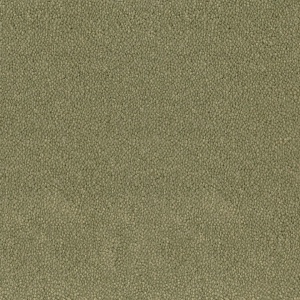 Mocheta rola DESSO Asteranne - Asteranne A411 7853