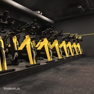 Pardoseala sport PaviFLEX Fitness PRO eco - Img 4