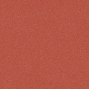 Covor PVC linoleum Tarkett Ruby 70 - Nature TOMATO