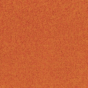 Mocheta dale DESSO Palatino - Palatino A072 5206