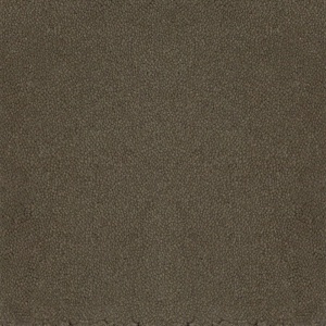 Mocheta rola DESSO Asteranne - Asteranne A411 9113