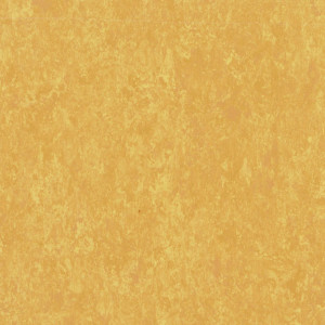 Pardoseala sport din linoleum Tarkett LINOSPORT xf²™ - Veneto SUNFLOWER 628