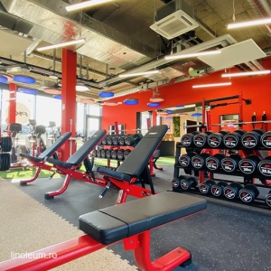 Pardoseala sport PaviFLEX Fitness PRO eco - Img 11